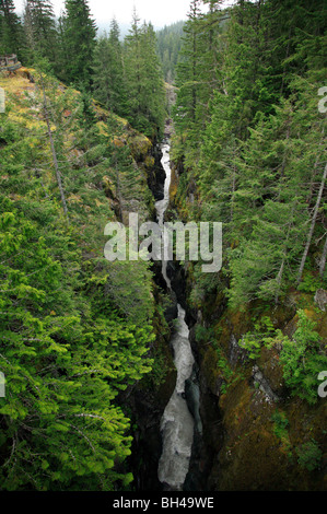 Box Canyon, gespeist von Schmelzwasser aus den Cowlitz Gletscher, Mt Rainier-Nationalpark, Washington State Stockfoto