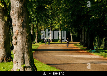 Wanderweg entlang des Flusses Severn in Shrewsbury, Shropshire. Stockfoto