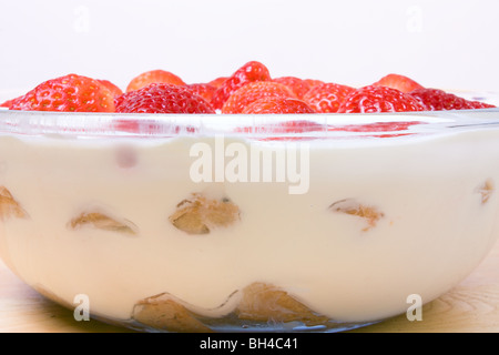Slowakische Strawberry Wüste Kleinigkeit gemacht mit griechischen Stil Joghurt und Vannilla Zucker. Stockfoto