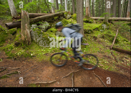Ein Mann ist eine Unschärfe, wie He der üppigen, grünen Wald von Nord-Idaho Mountainbikes. (Bewegungsunschärfe) Stockfoto