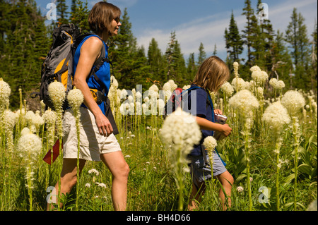 Eine Mutter und Tochter Wanderung zwischen blühenden Bear Grass. Stockfoto