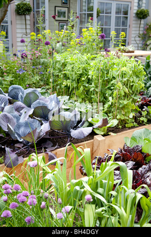 RHS Chelsea Flower Show 2009 Holz Hochbeete Stockfoto
