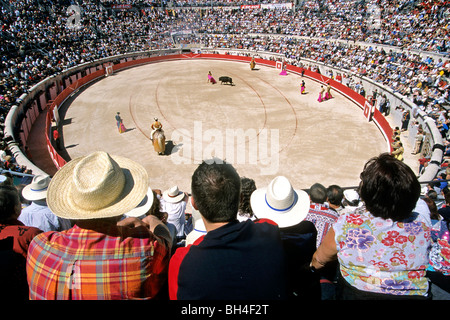 DIE ÖFFENTLICHKEIT DRÄNGTEN SICH IN DER ARENA VON NIMES, GARD (30), FRANKREICH Stockfoto