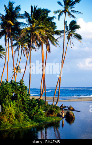 Palmen vor blauem Himmel mit leuchtend blauen Ozeanwasser, Fiji, Südsee Stockfoto