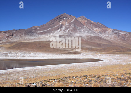 Laguna Miniques, Nordchile Stockfoto