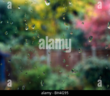 Auf der Suche nach draußen im Garten an einem regnerischen Tag in Großbritannien. Stockfoto