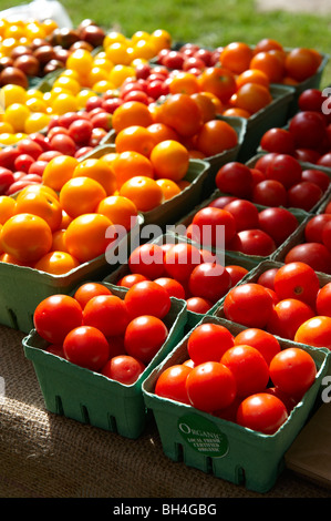 Verschiedene Arten von frischen Tomaten, Riverdale Farmer Market, Toronto, Ontario Stockfoto