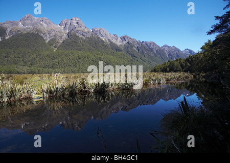 Reflexionen von Earl Bergen am Spiegel Seen im Fjordland National Park Südinsel. Stockfoto