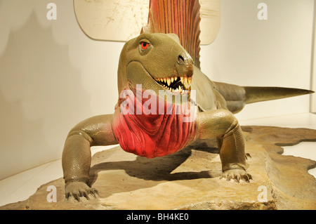 Dimetrodon Grandis Dinosaurier Replik in Amarillo, Texas Panhandle Plains Historical Museum Stockfoto
