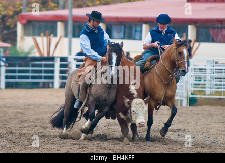 Teilnehmer an der Gauchos-Show im "Semana Criolla" Stockfoto