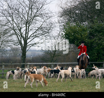 Master Of Hounds Dring Stirrup cup Stockfoto