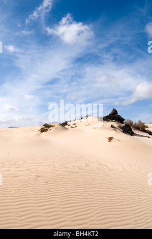 Düne Dünen du Désert Wüsten sandigen blauer Himmel Himmel geblasen Stockfoto