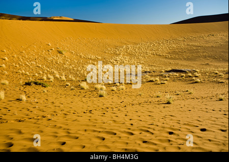 NAMIBIA-Namib-Wüste Deadvlei SOSSUSVLEI Dünen Sand Licht am frühen Morgen Ambiente Atmoshere Stimmung Dünen gelb rot orange sand Stockfoto