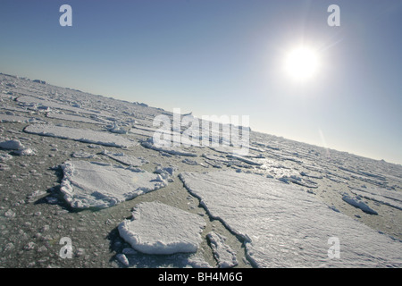 Eisberge und frech Eis im südlichen Ozean, der Küste der Antarktis. Stockfoto