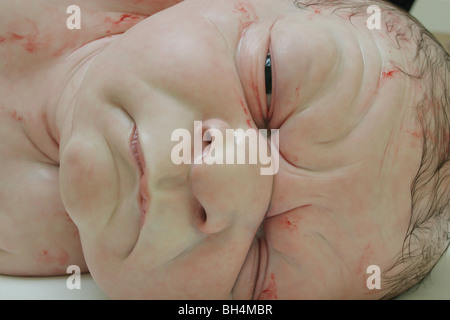 Ron Mueck Skulptur Ausstellung, Royal Scottish Academy, Edinburgh, Schottland 2006. Stockfoto