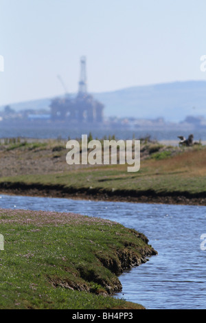 Bohrinsel im Bau am Cromarty Firth mit Salzwiesen Lebensraum im Vordergrund. Stockfoto