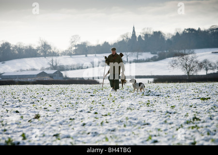 Gunner mit Springer Spaniel während Fasan schießen. Kleine Dalby Estate. Leicestershire. Vereinigtes Königreich. Stockfoto