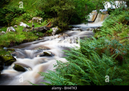 Wasserfall und Stromschnellen in Richtung Wanderungen Stausee in der Nähe von Wanderungen auf Usk in den Brecon Beacons. Stockfoto