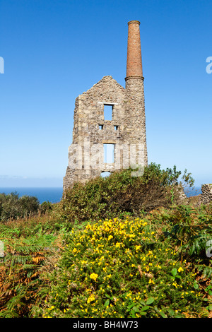 Die Ruine Maschinenhaus der Carn Galver Zinnmine bei Rosemergy, Cornwall Stockfoto