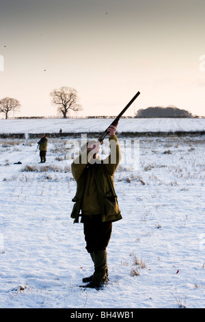 Fasan schießen. Kleine Dalby Estate. Leicestershire. Vereinigtes Königreich. Stockfoto