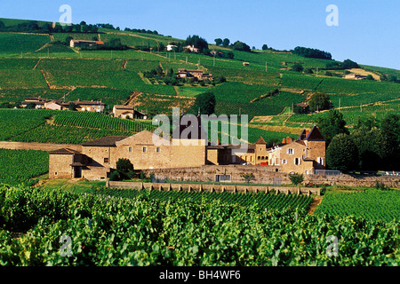 ALTER BAUERNHOF UND LÄNDLICHE LANDSCHAFT IN JULIENAS, RHONE (69), FRANKREICH Stockfoto