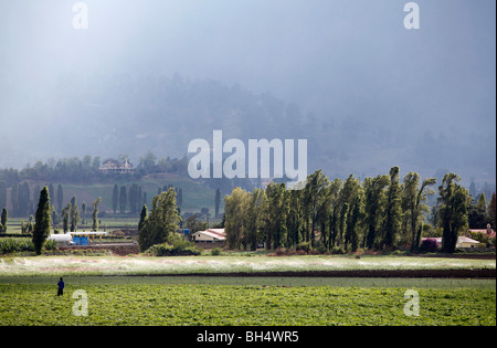 Landwirtschaftlich geprägten Region, Constanza, Dominikanische Republik Stockfoto