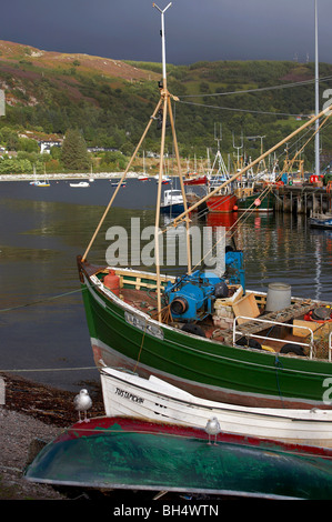 Angelboote/Fischerboote im Hafen von Ullapool. Stockfoto