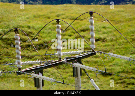 Nahaufnahme der Hochspannung Stromkabel und Isolatoren an einem Hochspannungsmast. Stockfoto