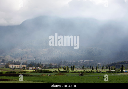 Landwirtschaftlich geprägten Region, Constanza, Dominikanische Republik Stockfoto