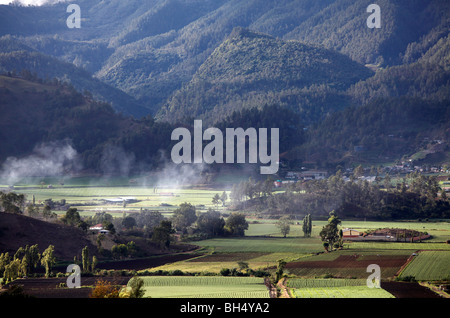 Landwirtschaftlich geprägten Region, Constanza, Dominikanische Republik Stockfoto