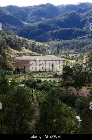 Landwirtschaftlich geprägten Region, Constanza, Dominikanische Republik Stockfoto