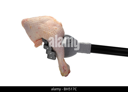 Roboter rohem Hühnerfleisch Bein Trommelstock Vorbereitung Essen hungernden Proteinen Fleisch Lebensmittel Beine Fleischhühner essen rohes Geflügel greifen Hand Stockfoto