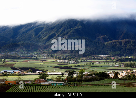 Landwirtschaftlich geprägten Region, Constanza, Dominikanische Republik Stockfoto