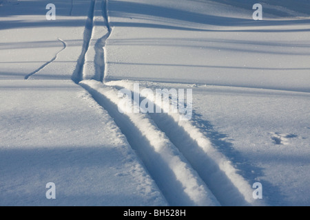 Gespurte Loipen im Tiefschnee. Stockfoto