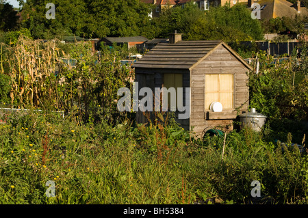 Holz (Holz) Schuppen auf einem überwucherten Zuteilung Grundstück mit einer Verbrennungsanlage und Schlauch Haspel. Stockfoto