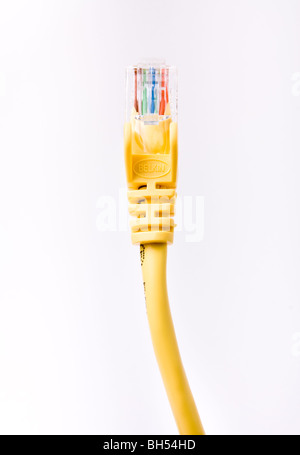 Gelbe Netzwerkkabel mit geformten RJ45-Stecker auf weißen Hintergrund isoliert. Stockfoto
