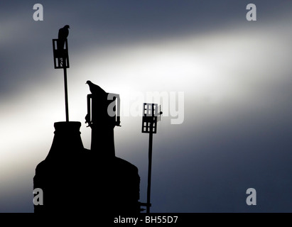 Silhouette von Tauben sitzen auf einem Kamin und TV Antenne. Stockfoto