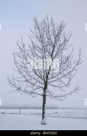 Winter im Schnee bedeckt Tunstall Stockfoto