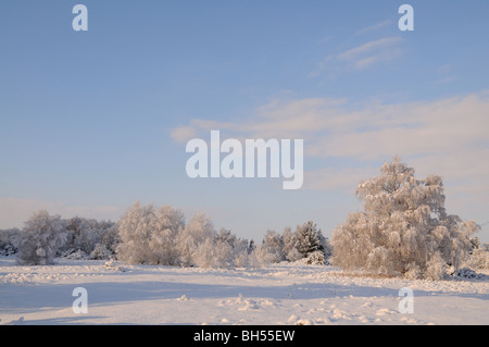 Winter im Schnee bedeckt Tunstall Stockfoto