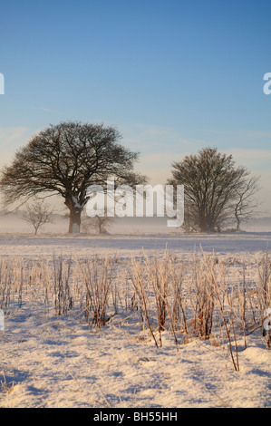 Winter im Schnee bedeckt Tunstall Stockfoto