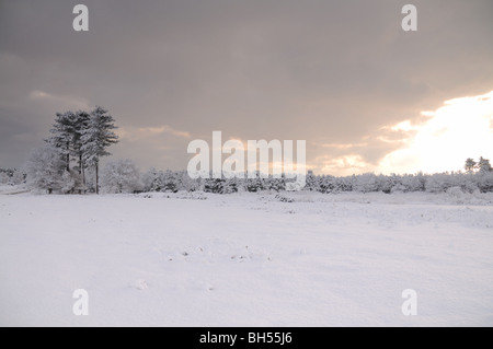 Winter im Schnee bedeckt Tunstall Stockfoto