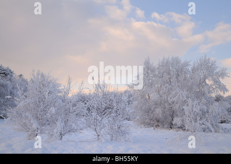 Winter im Schnee bedeckt Tunstall Stockfoto