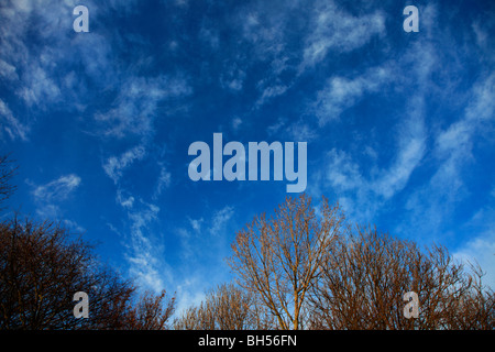 Weiße Wispy Cirrus hohe Wolken tief blauen Himmel Stockfoto