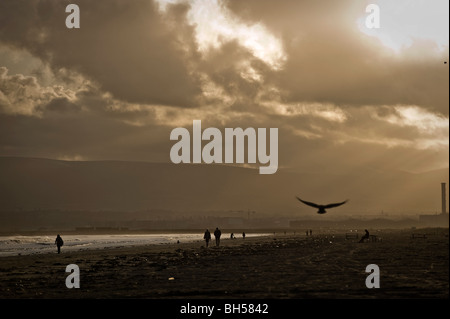 Dollymount Strang in Dublin Irland. Menschen zu Fuß am Strand und eine Möwe Flyingin Hintergrund. Stockfoto