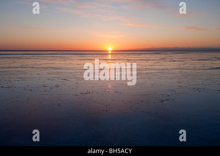 Letzten Sonnenstrahlen reflektiert von neuen unberührten Meereis bei Sonnenuntergang an der Ostsee, der Bottnische Meerbusen, Finnland Stockfoto