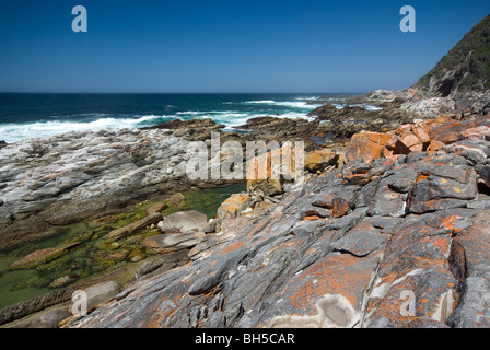 Teil der Otter Trail, Tsitsikamma, Garden Route National Park, Südafrika Stockfoto