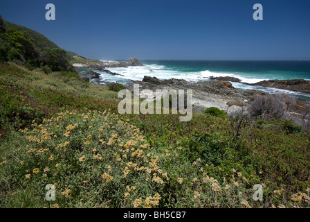 Die ersten paar Kilometer von der Otter Trail, Tsitsikamma, Garden Route National Park, Südafrika Stockfoto