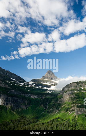 Mt. Reynolds auf Logan Pass Stockfoto