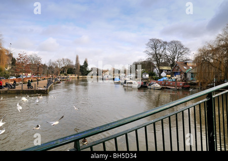Themse in Twickenham, West-London Stockfoto