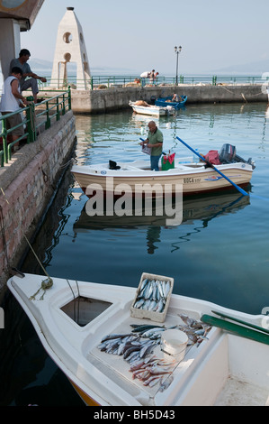 Fisch zum Verkauf auf dem Deck eines Bootes im Inneren Fischerhafen in Saranda, im Süden Albaniens. Stockfoto